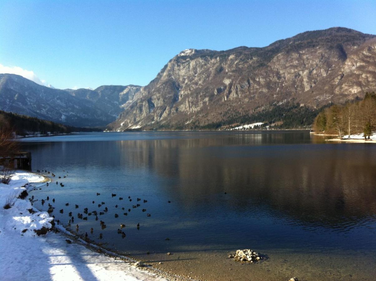 Bistrica 1 Appartement Bohinj Buitenkant foto